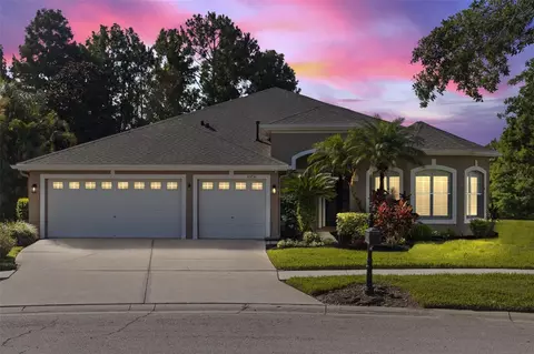 10751 Tavistock Dr, Tampa, FL 33626