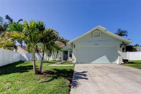 12004 Plantain Ct, Tampa, FL 33635