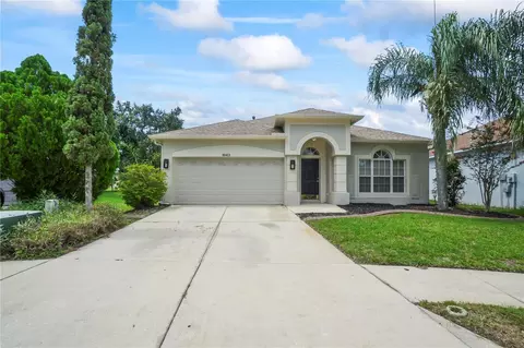 18423 Meadow Blossom Ln, Tampa, FL 33647