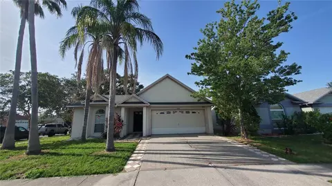 10024 Cedar Dune Dr, Tampa, FL 33624