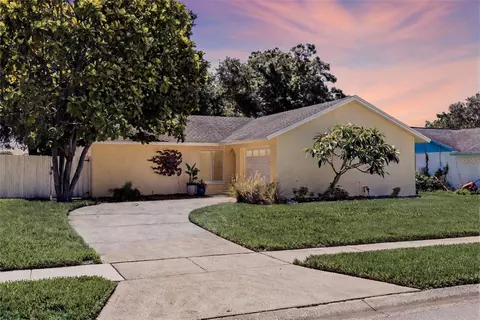310 Arbor Dr E, Palm Harbor, FL 34683