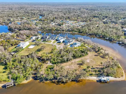 8331 Alafia Pointe Dr, Riverview, FL 33578 photo 11