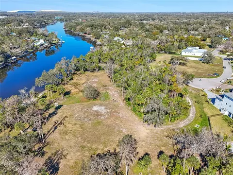 8331 Alafia Pointe Dr, Riverview, FL 33578 photo 6