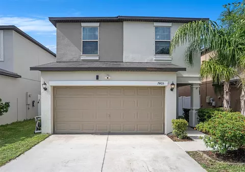 7405 French Marigold Ave, Tampa, FL 33619