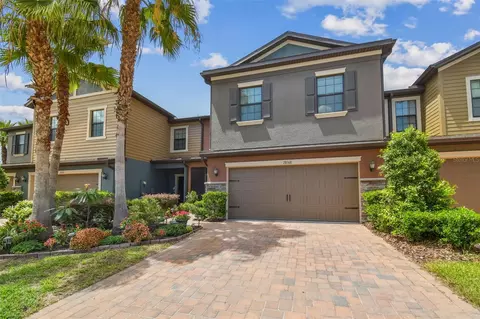 28568 Tranquil Lake Cir, Wesley Chapel, FL 33543