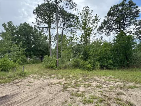 6958 W Mina Ln, Dunnellon, FL 34433