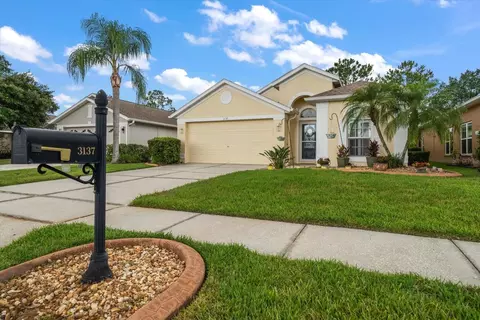 3137 Banyan Hill Ln, Land O Lakes, FL 34639