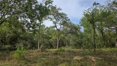 4811 N Redwood Ave, Hernando, FL 34442
