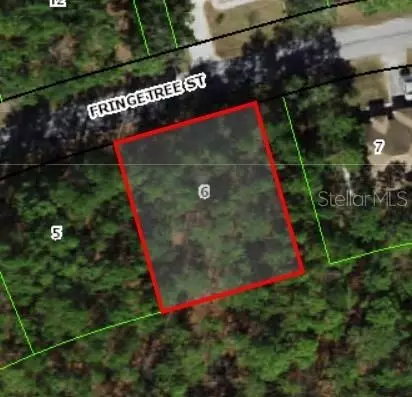 39 Fringetree St, Homosassa, FL 34446