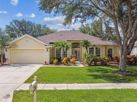 10203 Shadow Branch Dr, Tampa, FL 33647