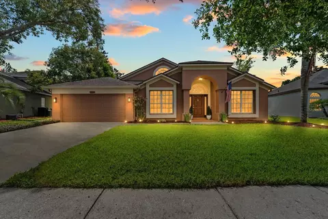 9206 Brindlewood Dr, Odessa, FL 33556