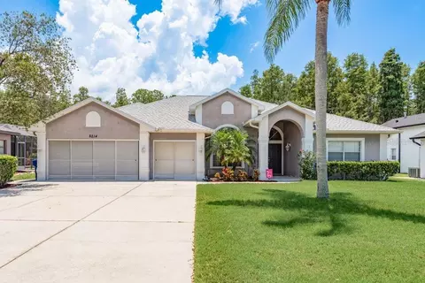 8214 Silver Mist Pl, Trinity, FL 34655