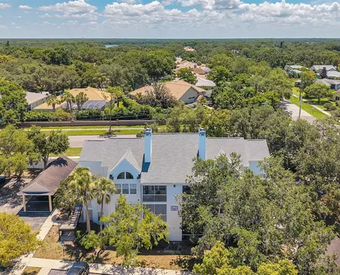 3301 Haviland Ct #301, Palm Harbor, FL 34684