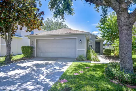 19555 Timberbluff Dr, Land O Lakes, FL 34638