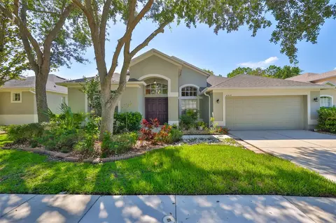 8213 Swann Hollow Dr, Tampa, FL 33647