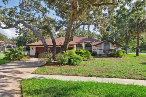 13747 Forest Ridge Ct, Hudson, FL 34667