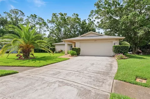 2875 Lomond Dr, Palm Harbor, FL 34684