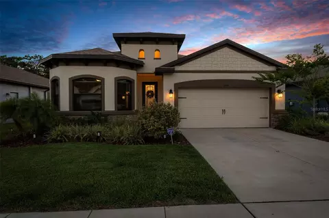 11597 Weaver Hollow Rd, New Port Richey, FL 34654