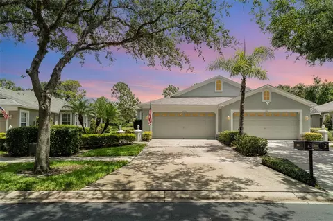 5814 Heronpark Pl, Lithia, FL 33547