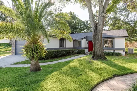 399 Walnut Ct, Palm Harbor, FL 34683