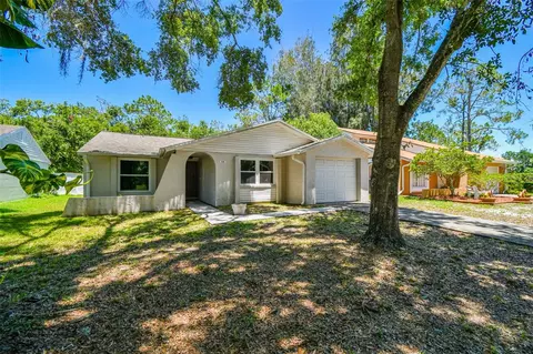 16138 Manorwood Cir, Tampa, FL 33624