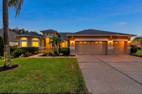 31646 Baymont Loop, Wesley Chapel, FL 33543