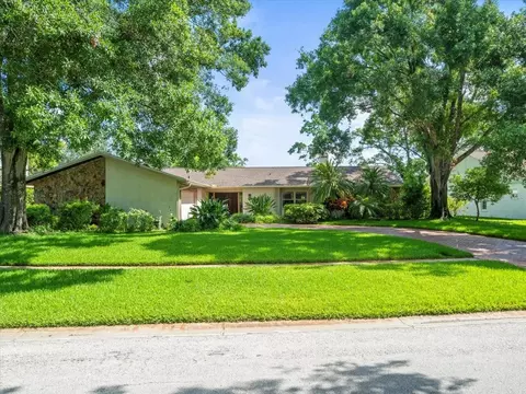 4209 Winding Willow Dr, Tampa, FL 33618