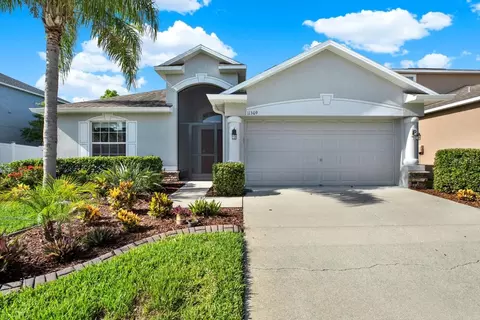 11309 Langworth Hill Ln, Riverview, FL 33579