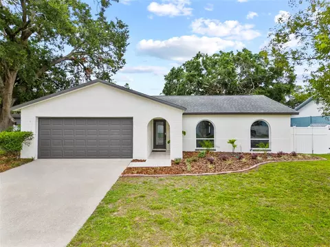 6204 Walsh Ln, Tampa, FL 33625