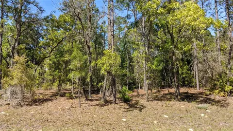 0 SW 97th Pl, Dunnellon, FL 34432