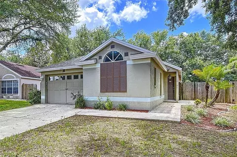 1319 Dew Bloom Rd, Valrico, FL 33594