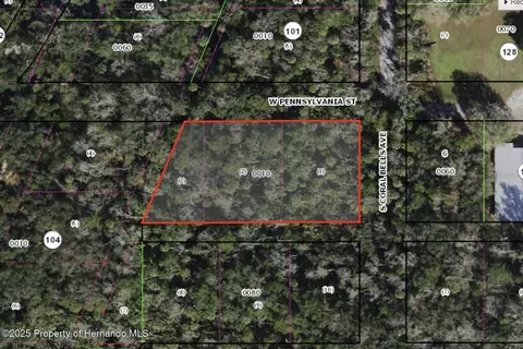 Dunn & Pennsylvania, Homosassa, FL 34448