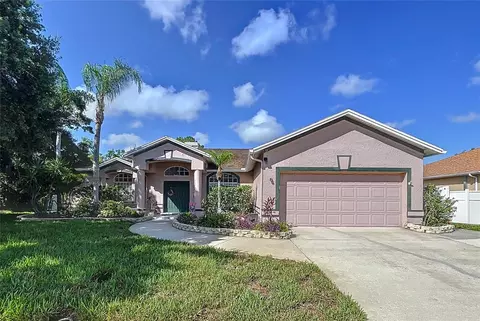22804 Willow Lakes Dr, Lutz, FL 33549 photo 1