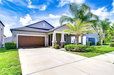 11011 Little Blue Heron Dr, Riverview, FL 33579