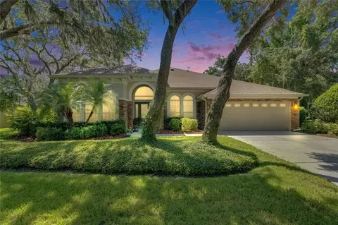 5804 Terncrest Dr, Lithia, FL 33547