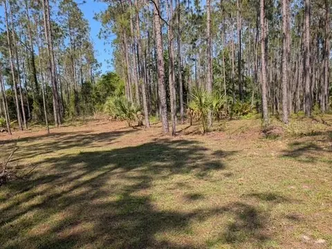 540 SW 326th Ave, Steinhatchee, FL 32359
