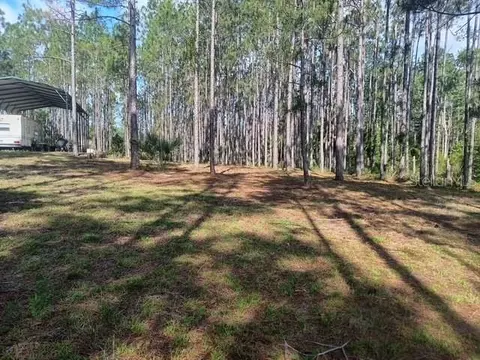 540 SW 326th Ave, Steinhatchee, FL 32359 photo 2