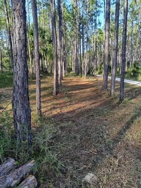 540 SW 326th Ave, Steinhatchee, FL 32359 photo 3