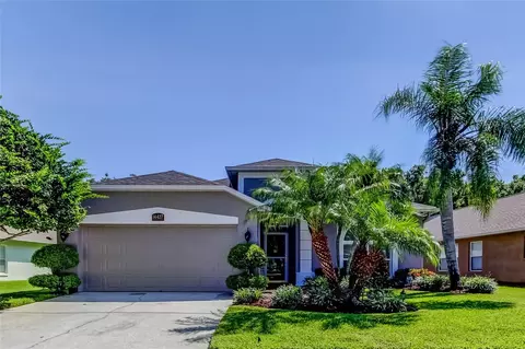 14427 Pepperpine Dr, Tampa, FL 33626
