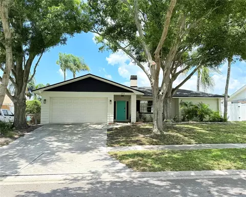 1972 Briarwood St, Dunedin, FL 34698