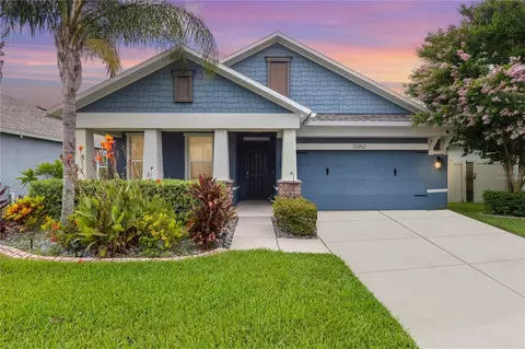 13352 Palmera Vista Dr, Riverview, FL 33579