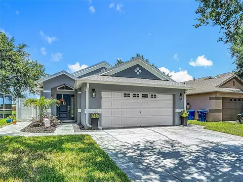 8717 Persea Ct, Trinity, FL 34655