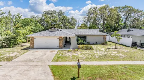 1403 Tallahassee Dr, Tarpon Springs, FL 34689