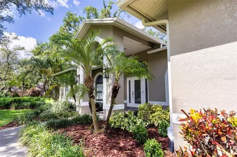 8901 Eagle Watch Dr, Riverview, FL 33578 photo 1
