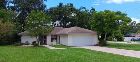 401 Fern Cliff Ave, Temple Terrace, FL 33617