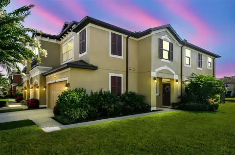 11519 Crowned Sparrow Ln, Tampa, FL 33626