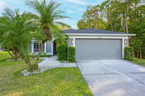 13203 Royal George Ave, Odessa, FL 33556