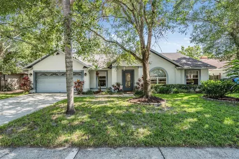5423 Windbrush Dr, Tampa, FL 33625