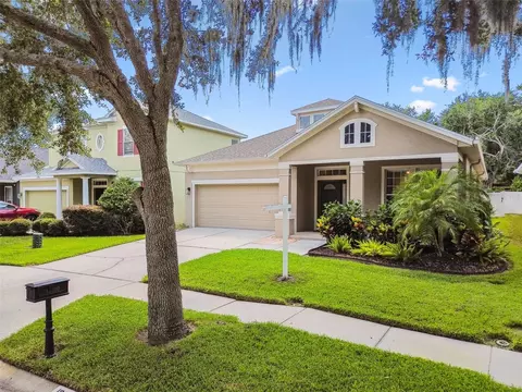 13310 Tiger Lilly Ln, Tampa, FL 33625