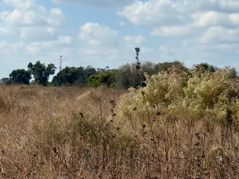 12828 Fort King Hwy, Thonotosassa, FL 33592
